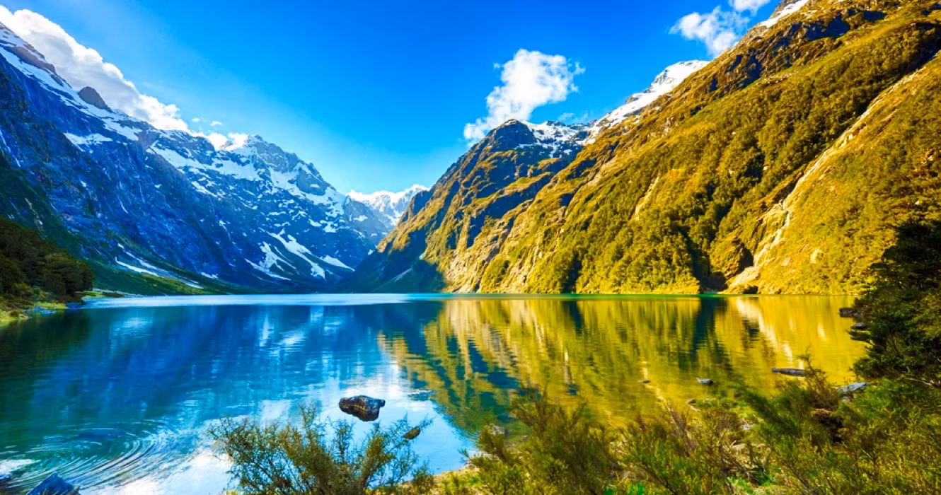 Best Destinations for Wildlife and Nature Lovers